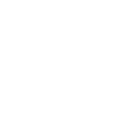 Custom Card Icon
