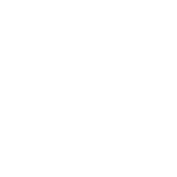 Custom Card Icon